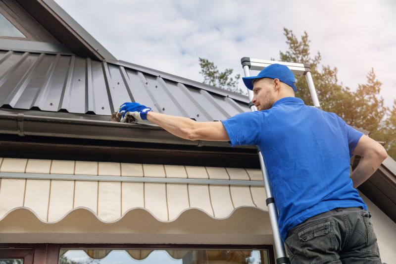 Gutter and Roof Maintenance